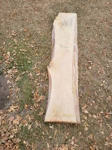 lot 202 image: Beautiful Stripped Wood Slab - Approx. 58 x 12 x 2.5 - NO SHIPPING
