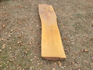 lot 204 image: Beautiful Stripped Wood Slab - Approx. 58 x 12 x 2.5 - NO SHIPPING