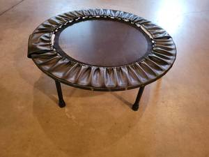 lot 171 image: Exercise Trampoline - Approx. 40 Diameter - NO SHIPPING