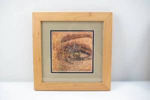 lot 122 image: Bev Doolittle Fox Haven & Double Back Prints