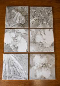 lot 315 image: 6 Lynn Speaker Gunpowder Paintings of Botanicals, Group 2