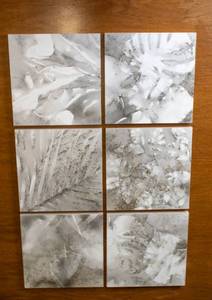 lot 316 image: 6 Lynn Speaker Gunpowder Paintings of Botanicals, Group 3