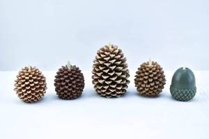 lot 207 image: 5 Pinecone & Acorn Real Wax Moving Flame Flameless Candles