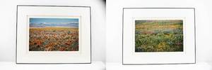 lot 221 image: Pair Jim Laser Signed Photographs - Wildflowers