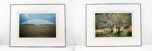 lot 229 image: Pair Jim Laser Signed Photographs - Peaceful Greens