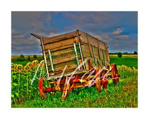 lot 3023 image: Waiting For Harvest by David F. Clobes