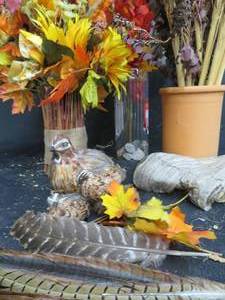 FALL FEATHERS AND DECOR