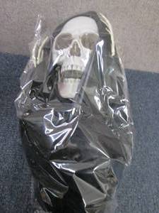 lot 162 image: 40 inch Skeleton...