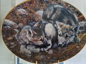 lot 663 image: Pooped Pups by Carl Brenders Limited Edition Collectors Plate