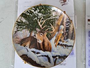 lot 649 image: Mirrored Image by Robert J. Schmidt Limited Edition Collectors Plate