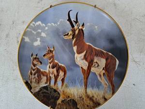 lot 655 image: Protective Order by Joules Lillpop Limited Edition Collectors Plate