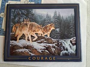 lot 681 image: Courage by Rosemary Millette Limited Edition Collectors Plate