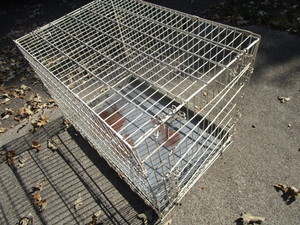 lot 126 image: Wire Pet Kennel