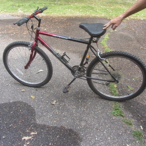 lot 82 image: Murray Bike
