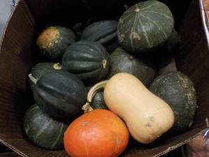 lot 126 image: A Box of Squash...