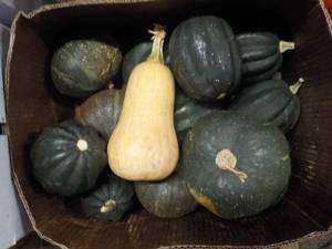 lot 128 image: A Box of Squash...