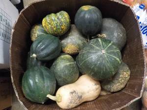 lot 129 image: A Box of Squash...