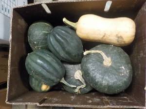 lot 130 image: A Box of Squash...