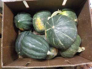 lot 131 image: A Box of Squash...