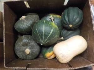 lot 132 image: A Box of Squash...