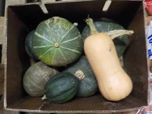 lot 133 image: A Box of Squash...