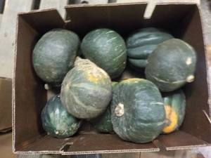 lot 134 image: A Box of Squash...
