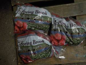 lot 144 image: 3 - 3 pound Bags of Spring Brook Re...