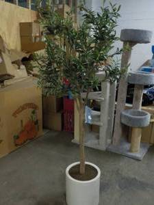 lot 118 image: CG hunter Lifelike Olive Tree 6 ft ...