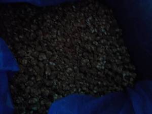lot 313 image: 30 lb. Box Frozen Peanut Brittle Bi...