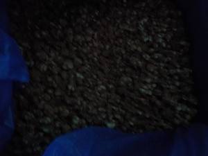 lot 315 image: 30 lb. Box Frozen Peanut Brittle Bi...