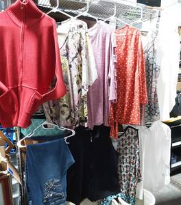 lot 46 image: 10-Pieces Plus Size Clothing 8-Tops 2X, 1-Vest, 1-Jeans Size 22 (Some New With Tags)