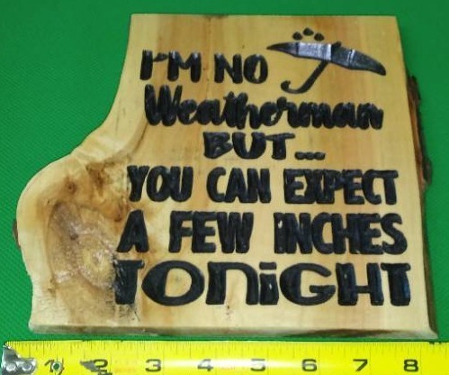 lot 41 image: Humor Plaque2 (2). - Locally made, hand crafted. Live Edge Pine