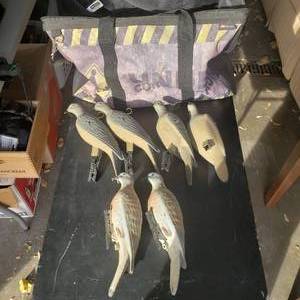 6-Dove Decoys With Duffel Bag