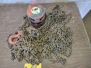 CM 1 Ton Chain Hoist, Extra Long Li...