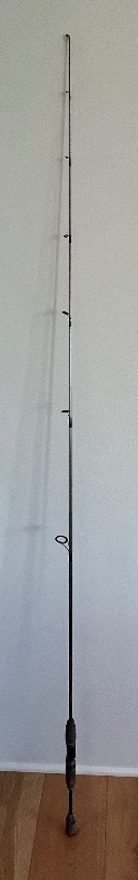 lot 31 image: Mitchell Fulcrum Fishing Pole