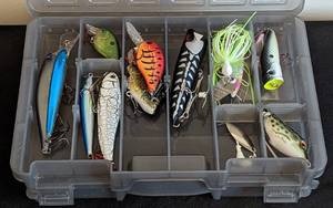 lot 43 image: Plastic Storage Divider and Fishing Lures
