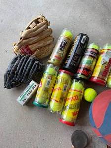 lot 230 image: Assorted Sports Balls and Two You Baseball Gloves