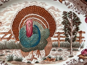 lot 40 image: Beautiful Turkey Platter