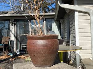 lot 187 image: Lot of Planters