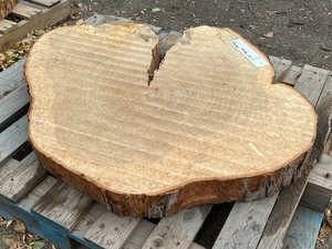 (1) 34-Round Maple Wood Slab