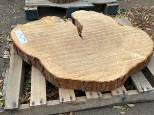 (1) 36-Round Maple Wood Slab