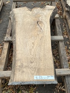 (1) 2.75 x 21 Asian Elm Wood Slab -- 5ft Length