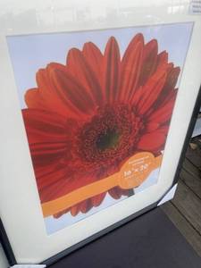 Large Frames