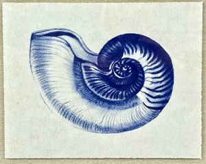 lot 53 image: Pottery Barn Blue Nautilus 1 Print in Contemporary Cream Frame