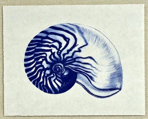lot 58 image: Pottery Barn Blue Nautilus 2 Print in Contemporary Cream Frame
