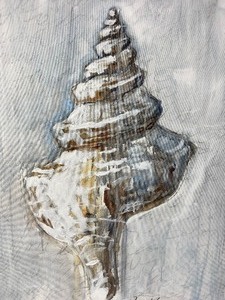 lot 63 image: Pottery Barn - Shell Study (Medium) on Gicle Canvas Print by Lauren Herrera