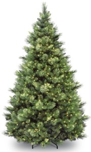 lot 746 image: National Tree Co. 6.5 ft. Carolina Pine Tree with Clear Lights, CAP3-306-65 - SOLD AS IS