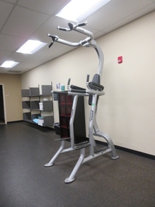 lot 450 image: HOIST BODY LIFT FITNESS MACHINE