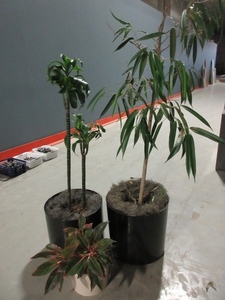 lot 910 image: Halted - please contact affiliate
