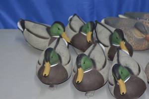 lot 12 image: Duck decoys bag and weights